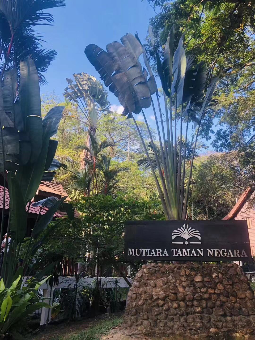 WeChat Image_20190311095650